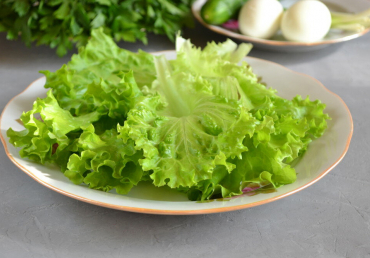 Листовой салат - ценный состав и полезные свойства